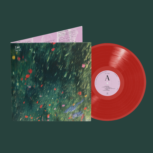 DAG NUL (LP)
